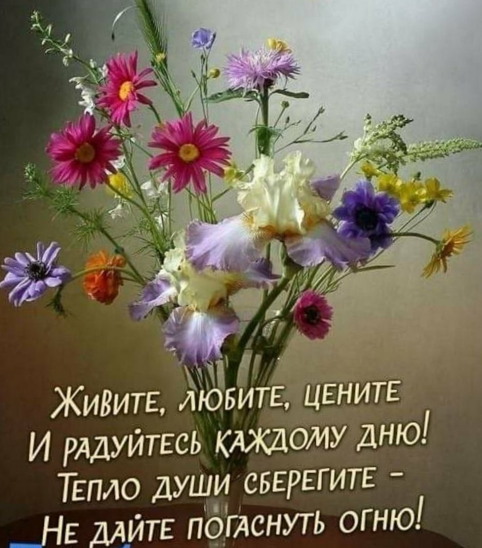 Поздравление с добрым вечером