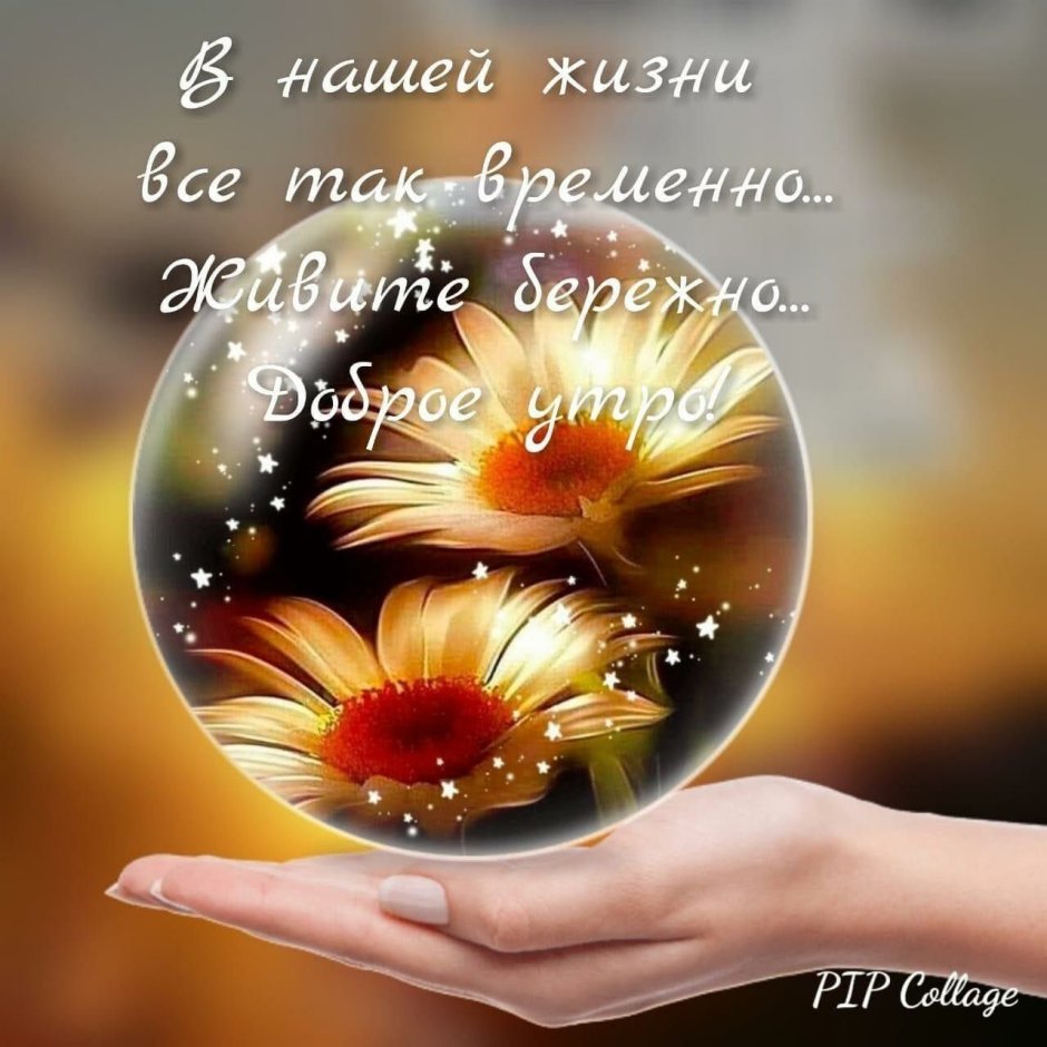 Живите счастливо доброе утро