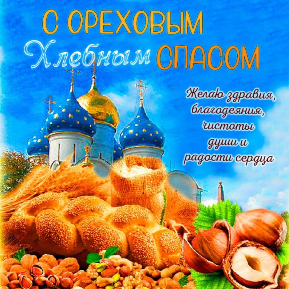 Черкес адыг Кабардинец
