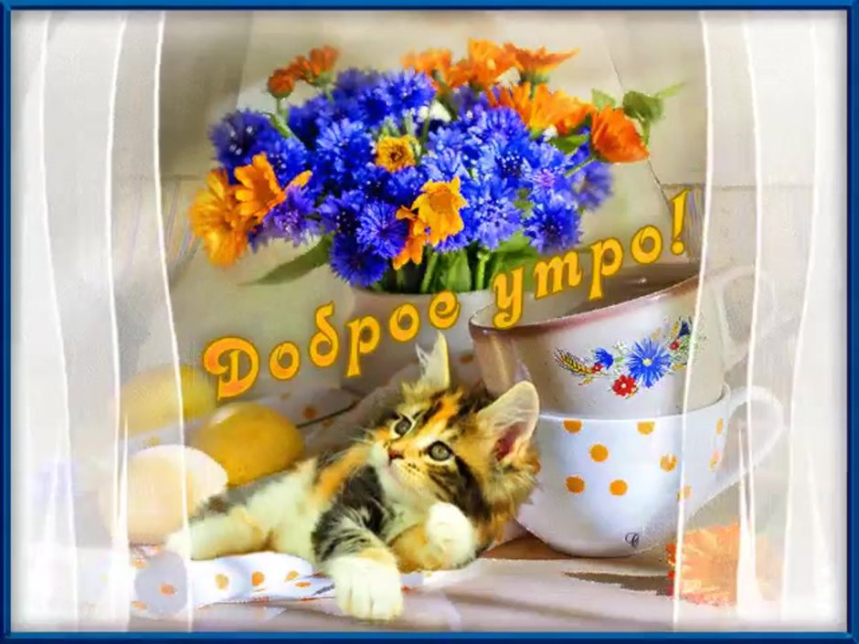 Пожелания хорошего утра , дня, вечера.