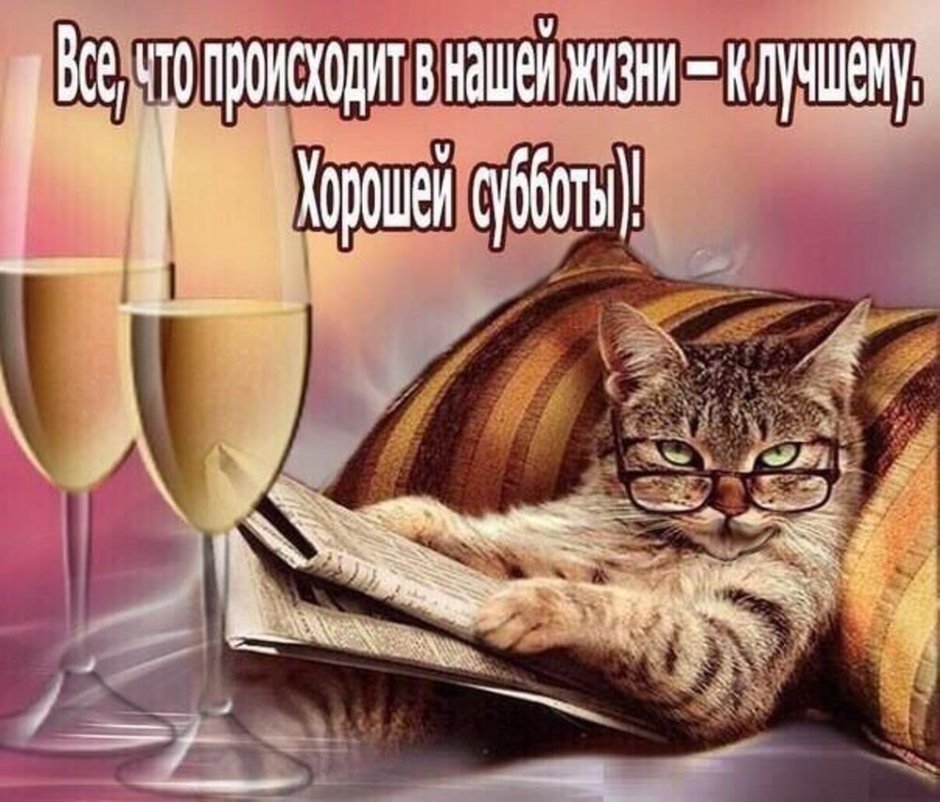Пожелания хороших выходных прикольные