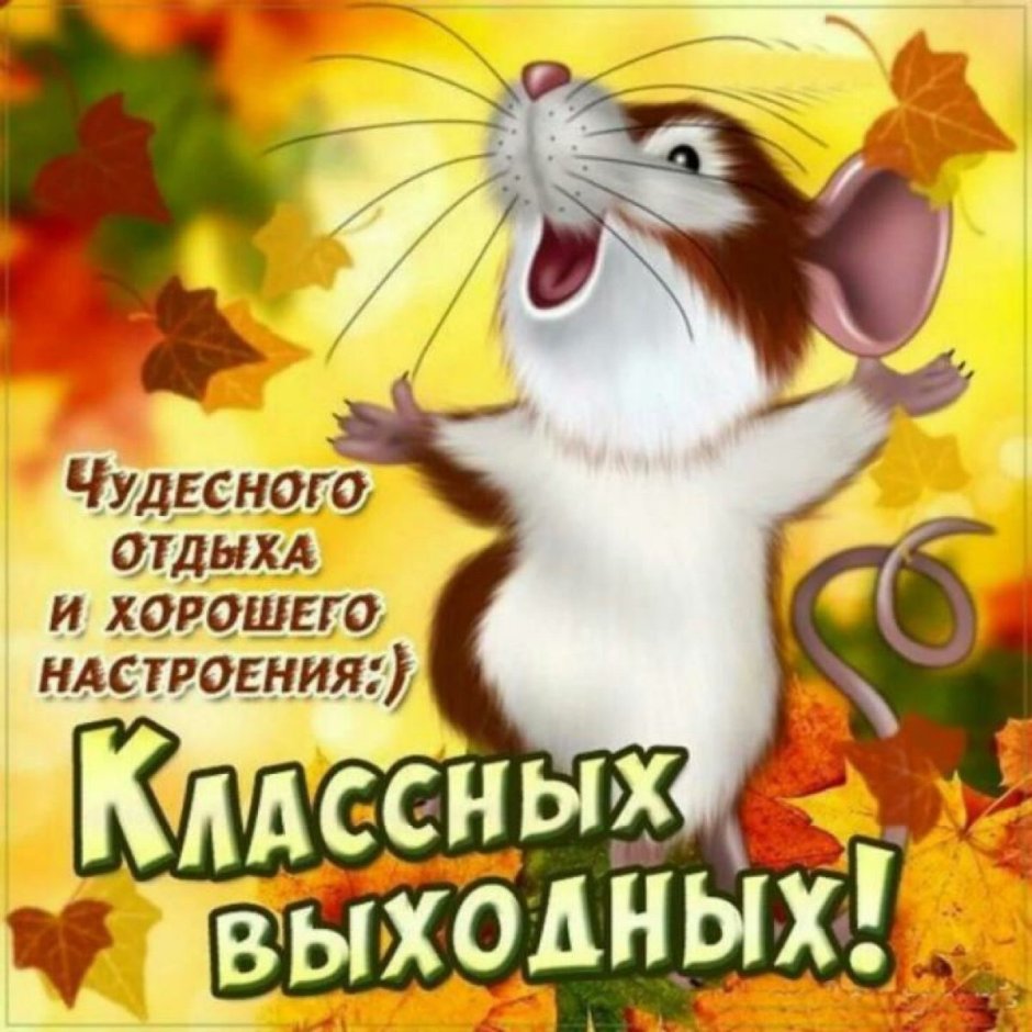 Отличных выходных