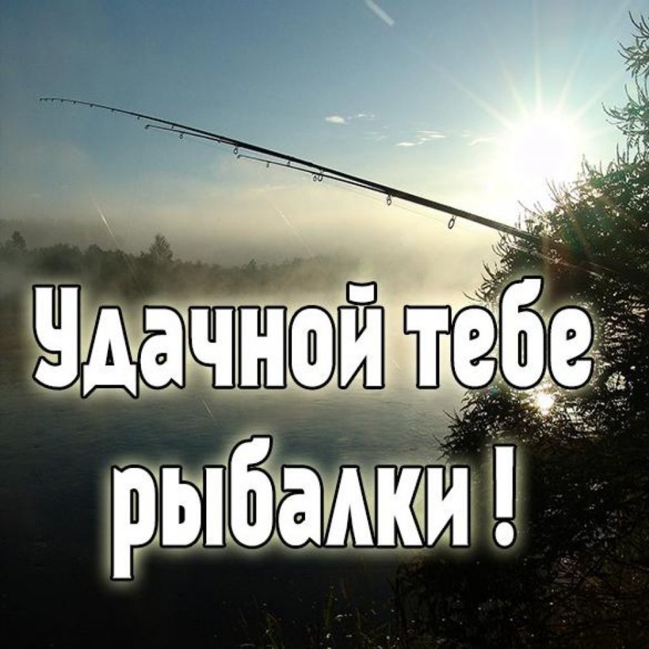 Пожелания удачной рыбалки