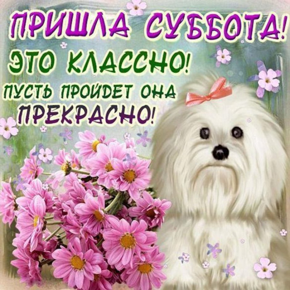 Поздравление с субботой