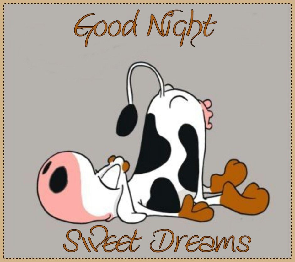 Good Night приколы