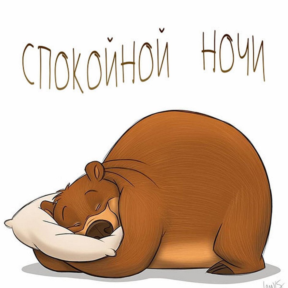 Медведь спит