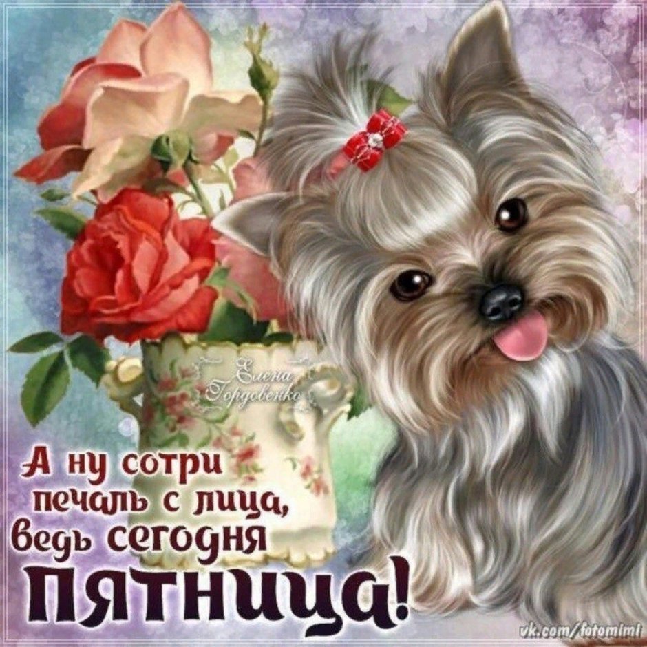 Открытки с пятницей