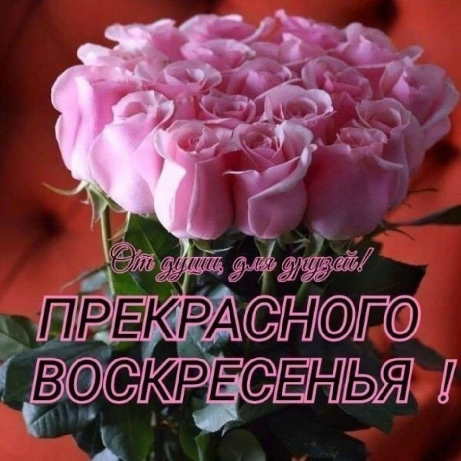 Розы с пожеланием здоровья