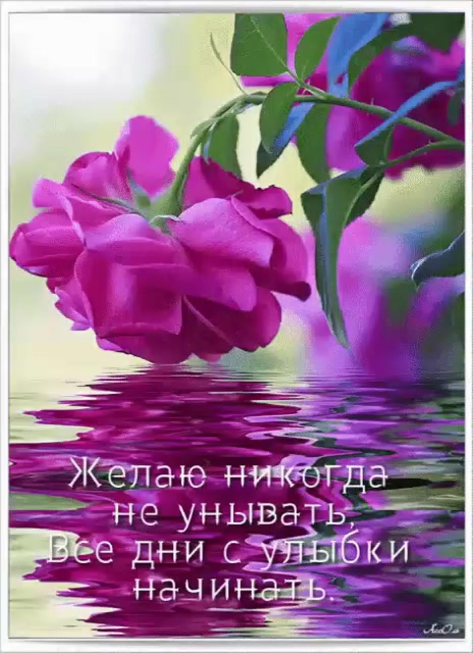 Добрые пожелания