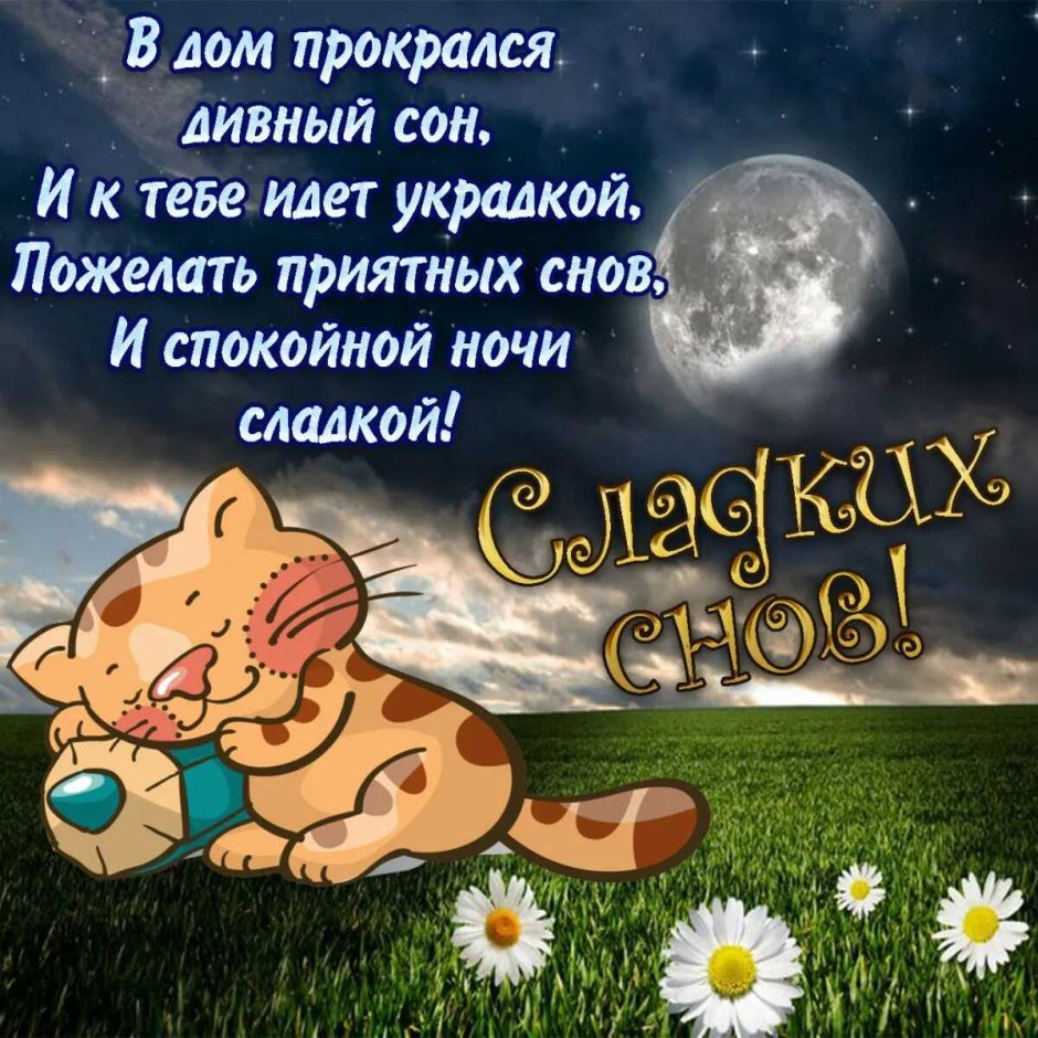 Пожелание неспокойной ночи