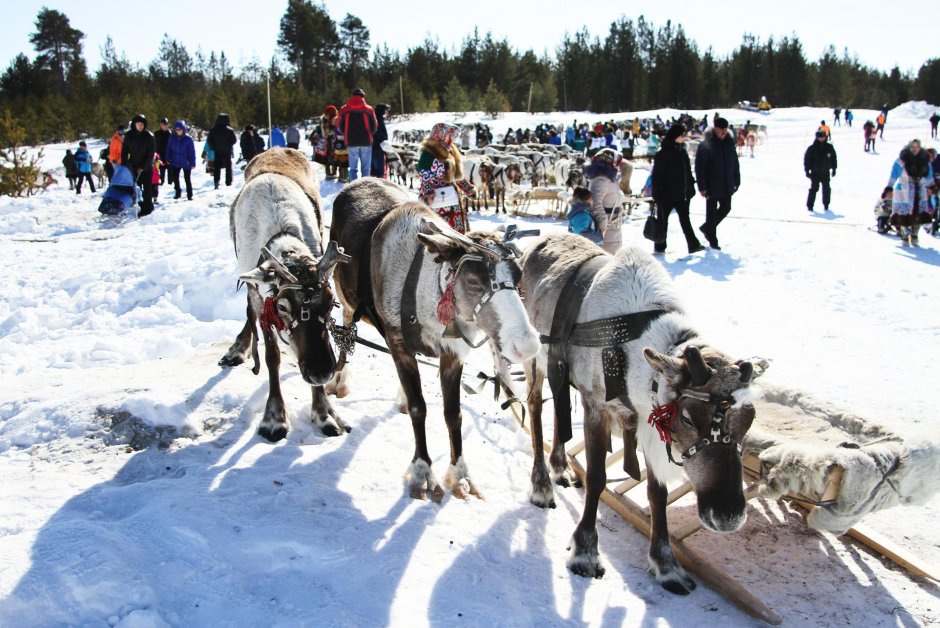 Международный день саамов