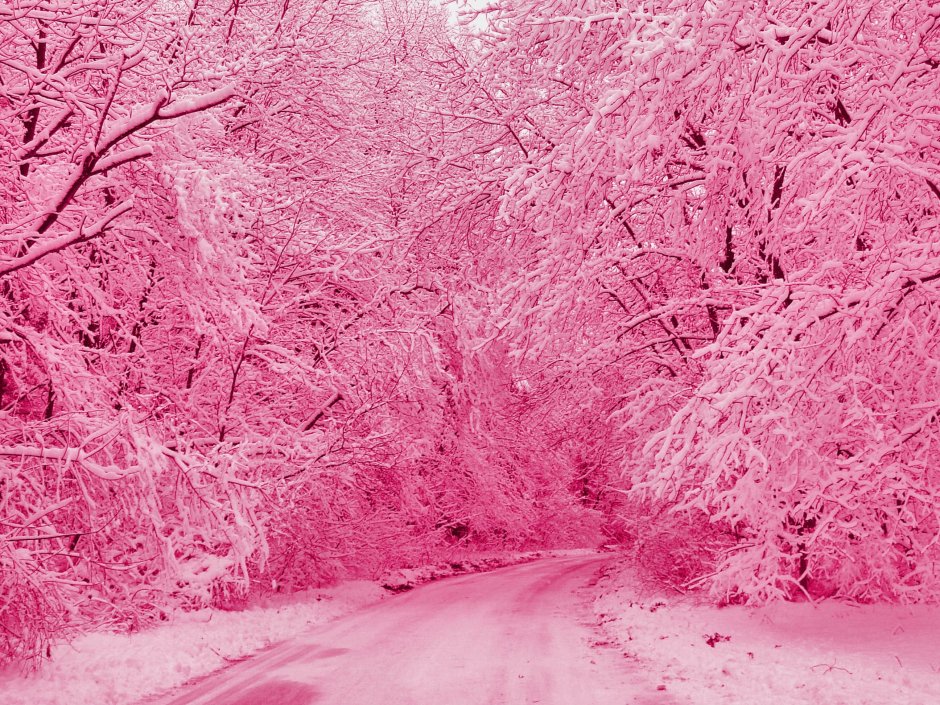 Розовая зима