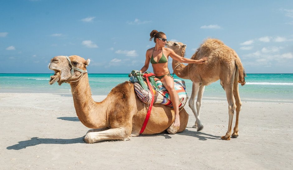 Тунис пляж верблюд