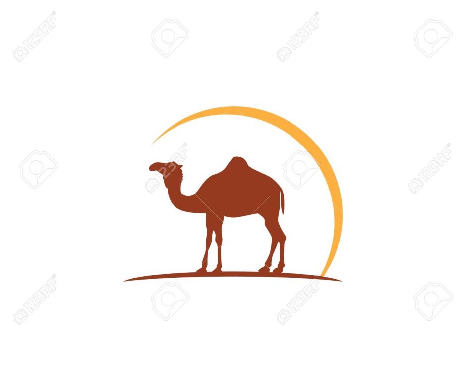 Логотип компании с верблюдов