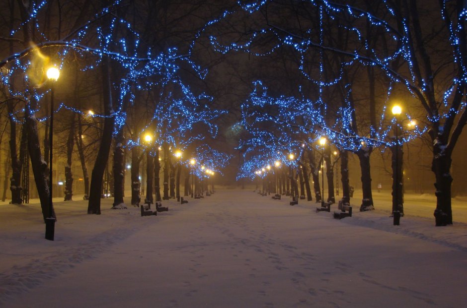 Зимняя аллея ночью