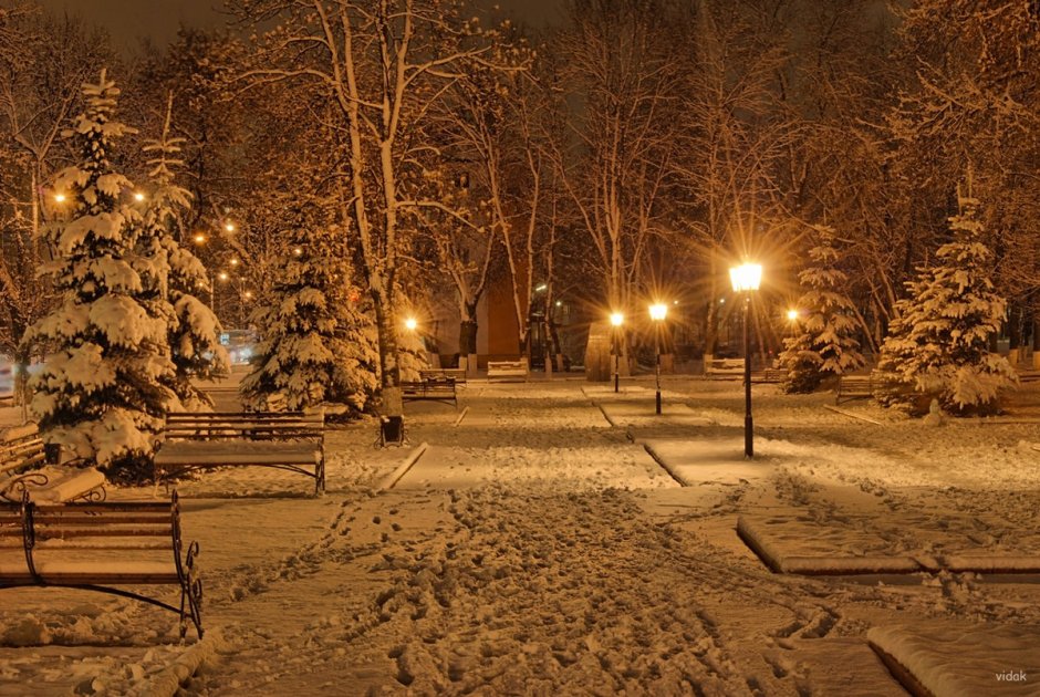 Зимняя ночь в городе