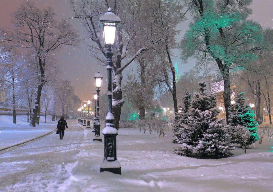 Снегопад в парке