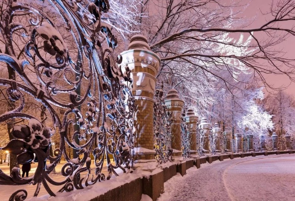 Михайловский сад в Санкт-Петербурге зимой