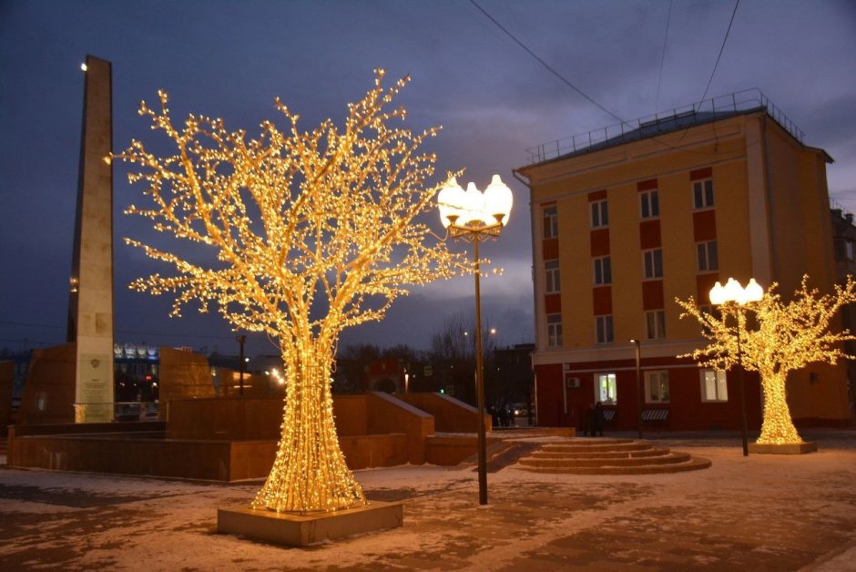 Деревья в Красноярске