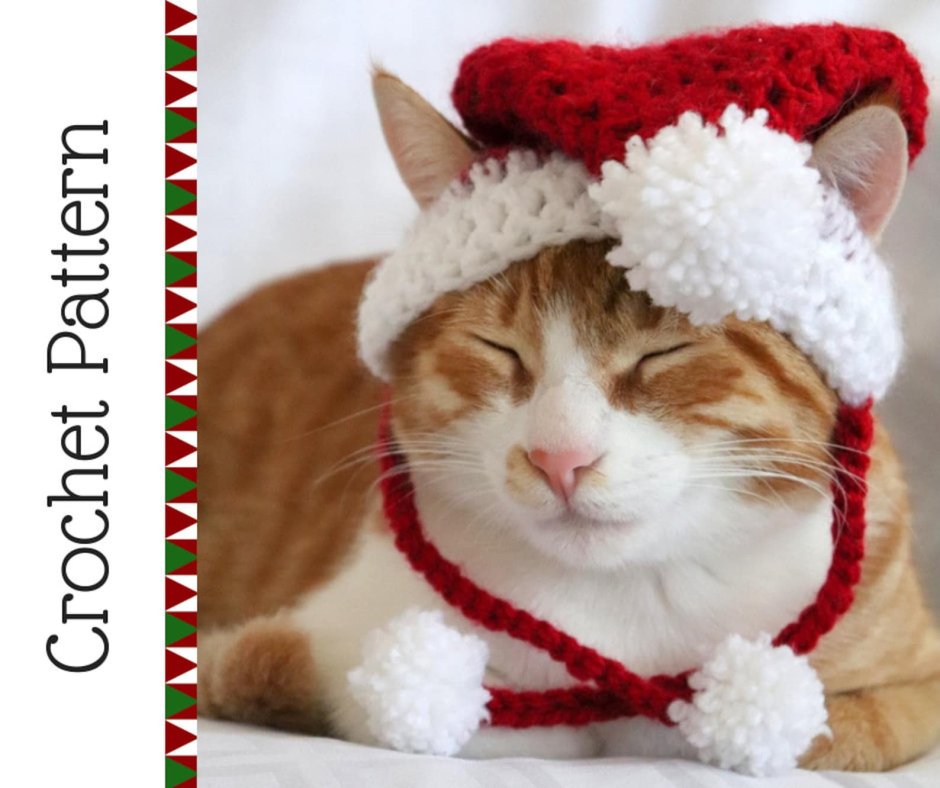 Kitty in a festive hat