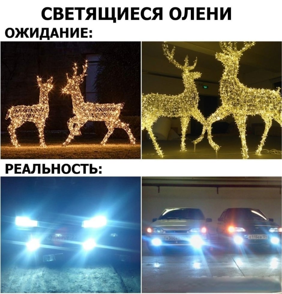 Светящиеся олени