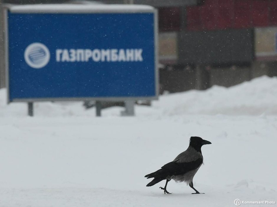 Предложение ворона на белом снегу