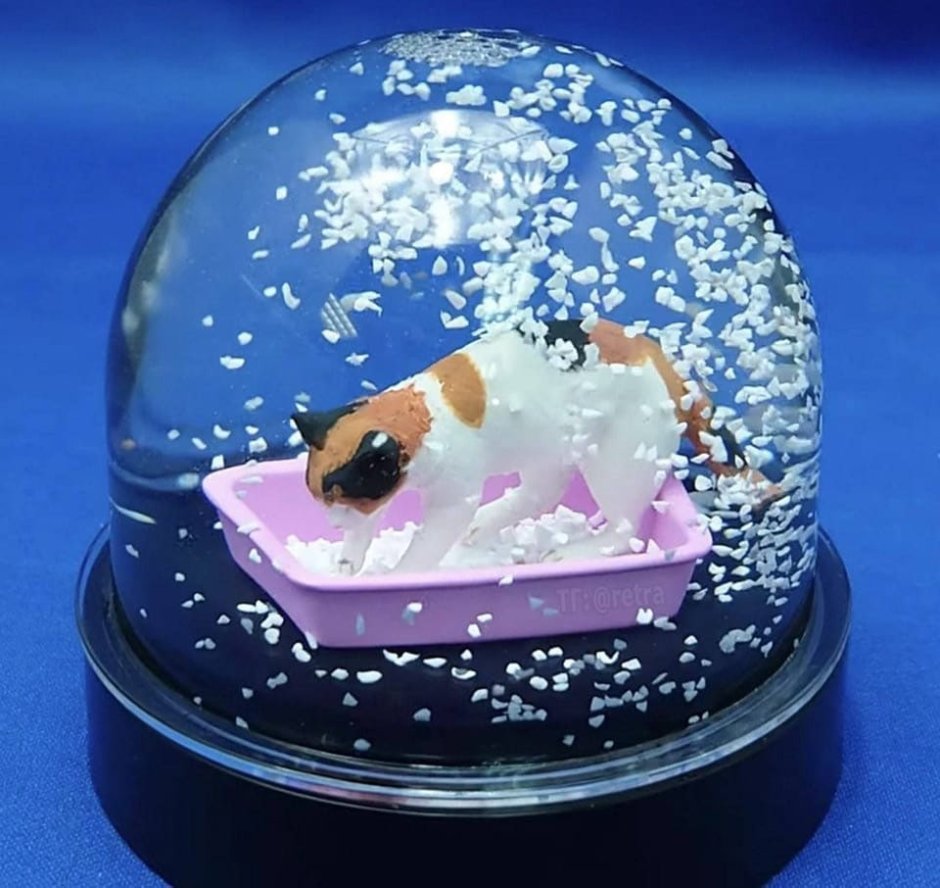 Снежный шар кот в лотке