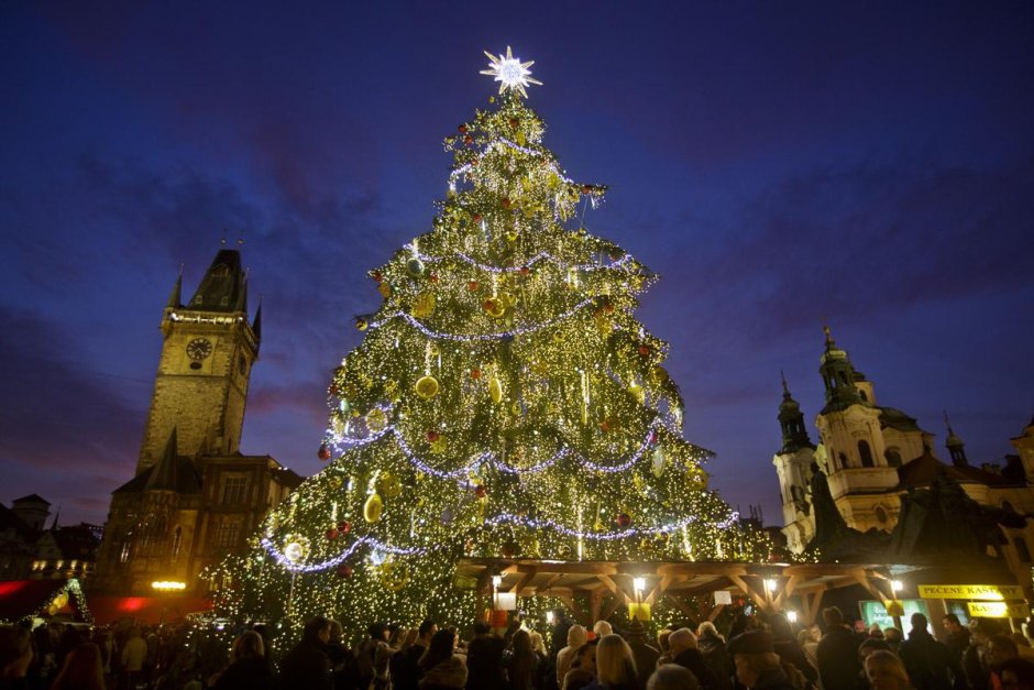 Центральная елка в Праге