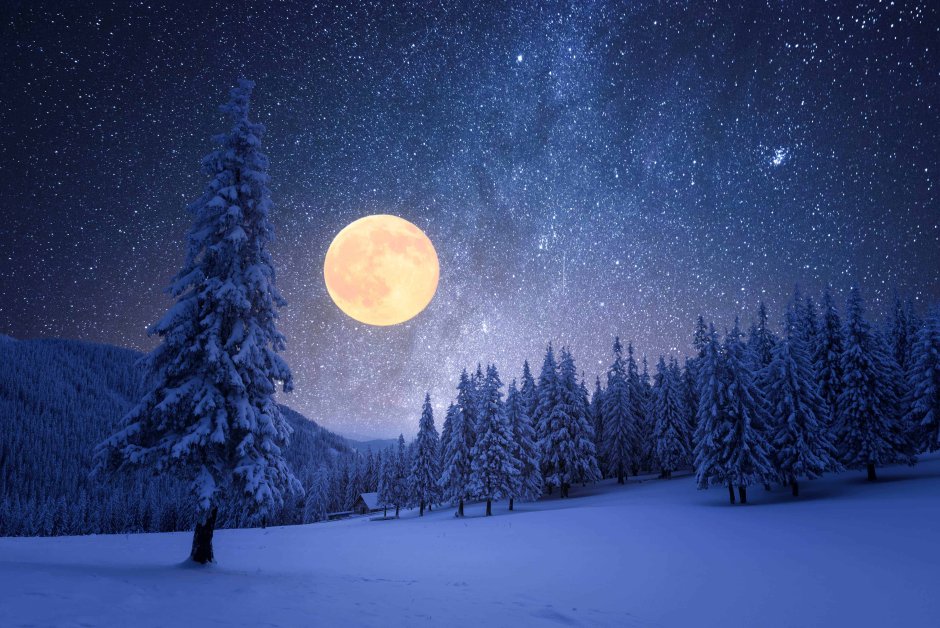 Лес снег Луна звезды город