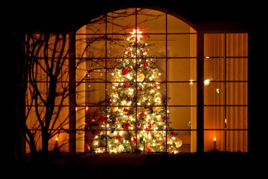Окно в доме с новогодней елкой