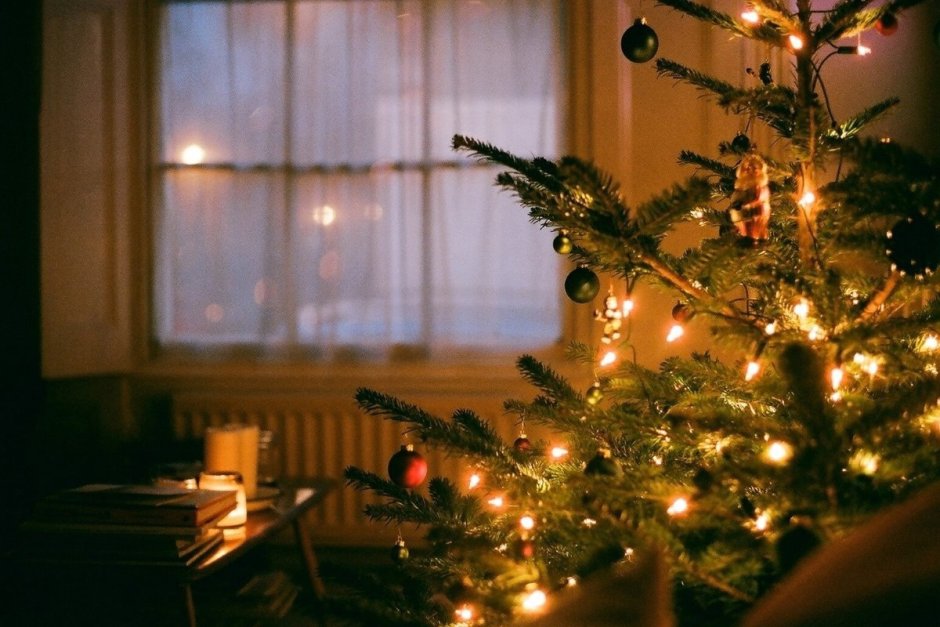 Рождественская елка у окна