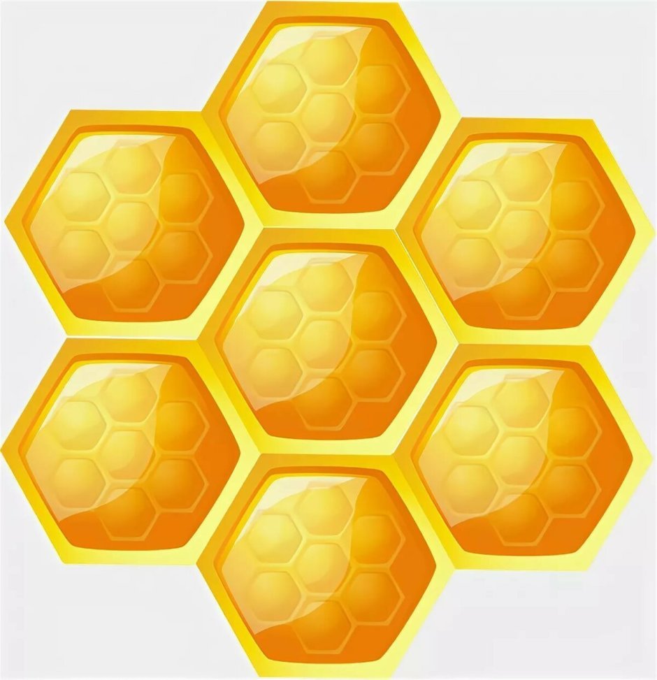 Соты пчелиные вектор