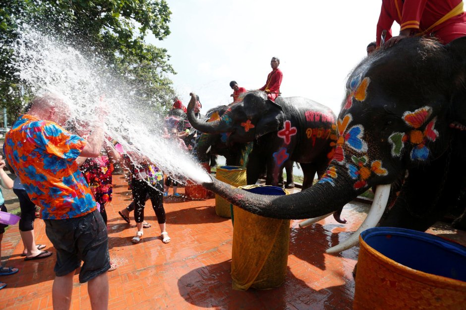 Слоны на фестивале воды в Тайланде