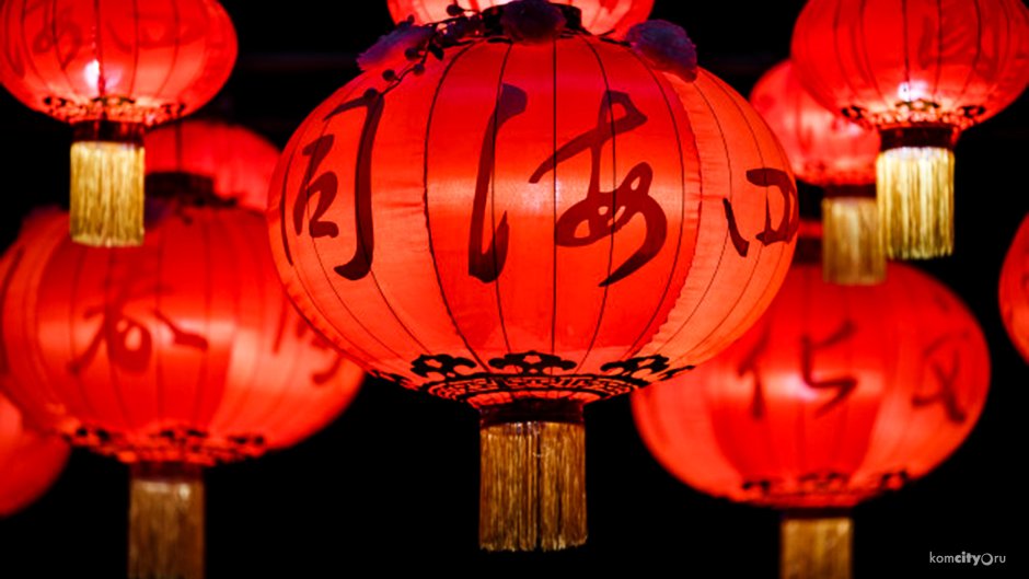 Chinese Lantern Cats
