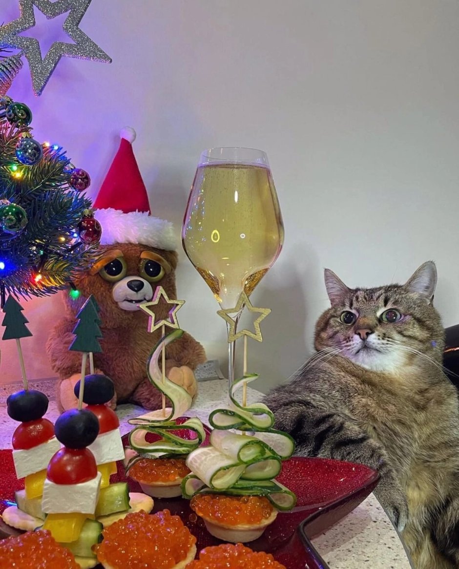 Коты за новогодним столом