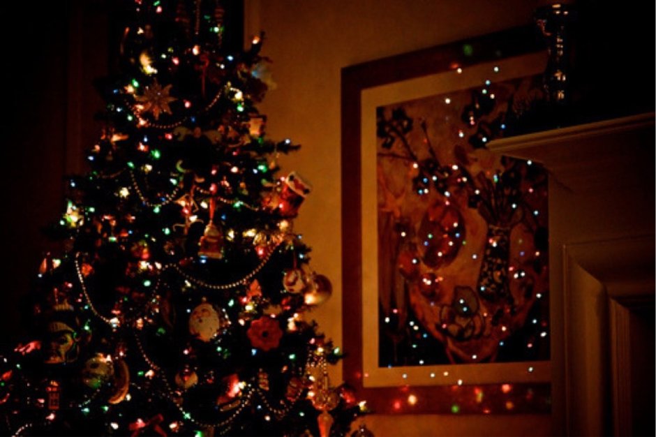 Новогодняя елка в темной комнате