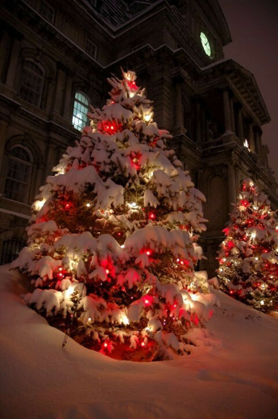 Рождественская елка на улице