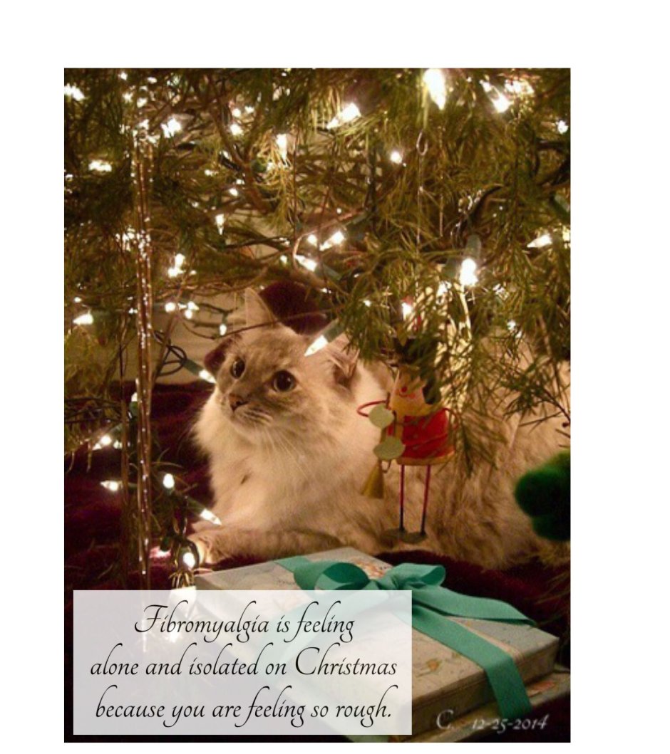 Кот под новогодней елкой