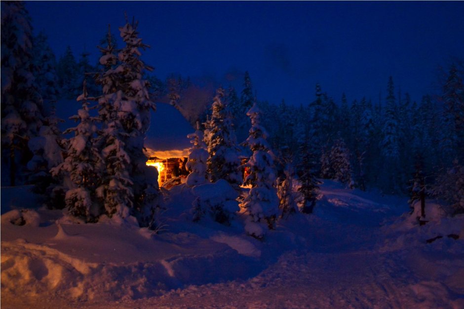 Избушка в лесу зимой ночью