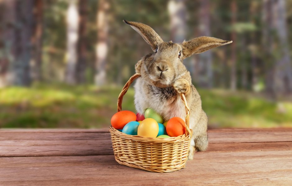 Easter Bunny — Пасхальный кролик