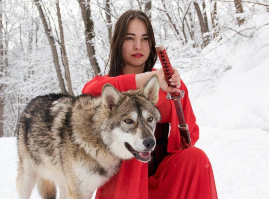 Алида Насырова волк
