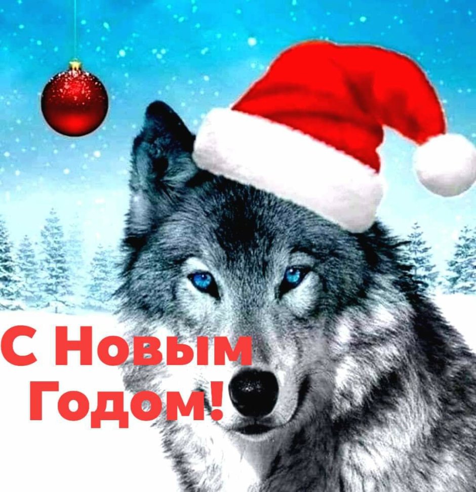 Новогодний волк