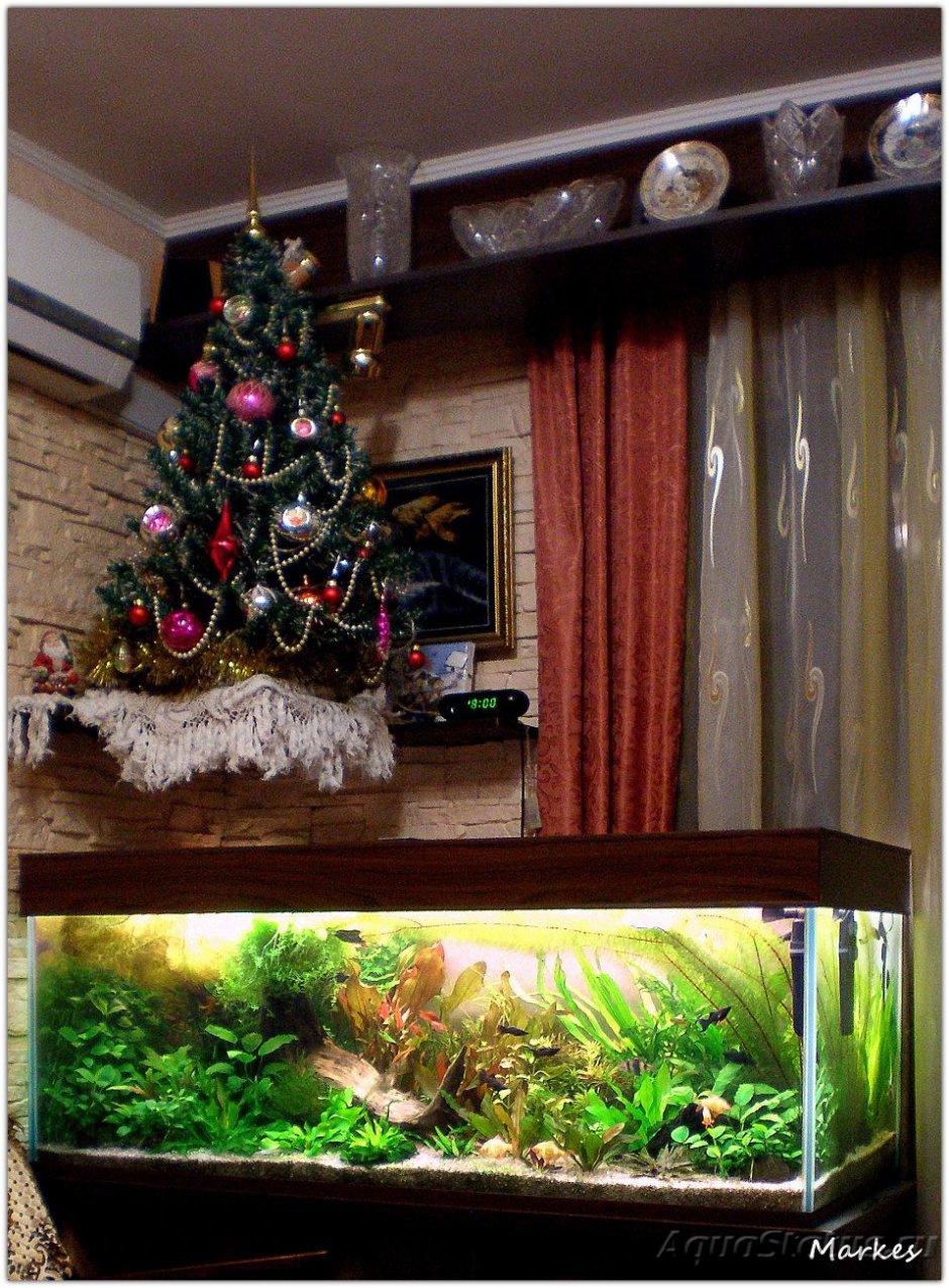 Новогодний декор в аквариуме