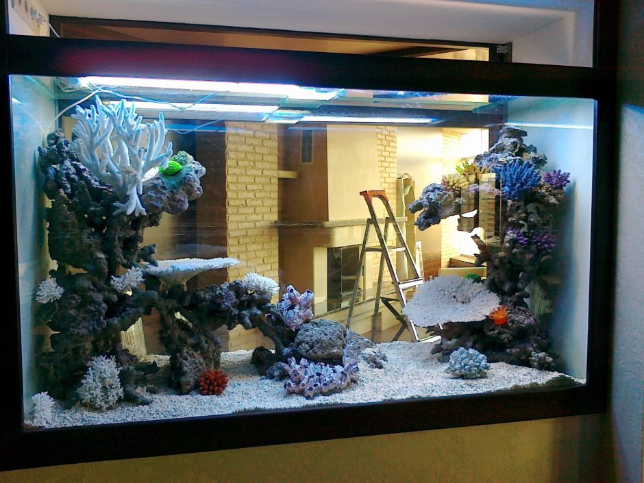 Сухой аквариум в интерьере