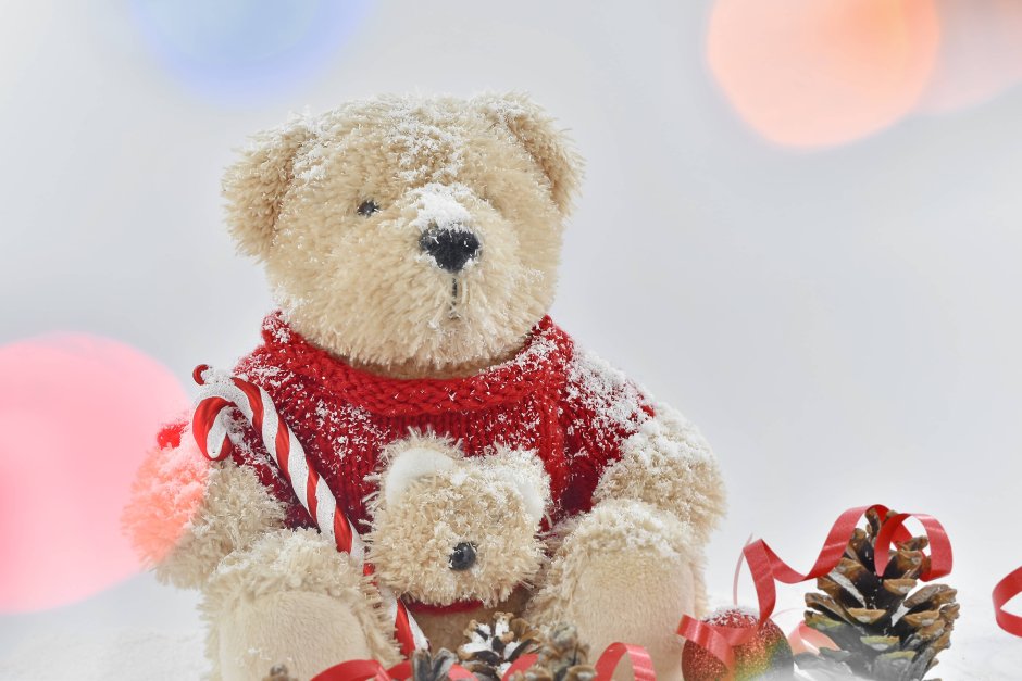 Рождественский Teddy Bear