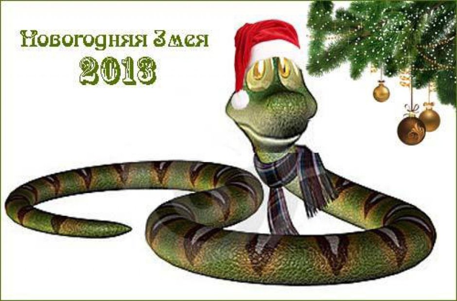 2013 Год змеи