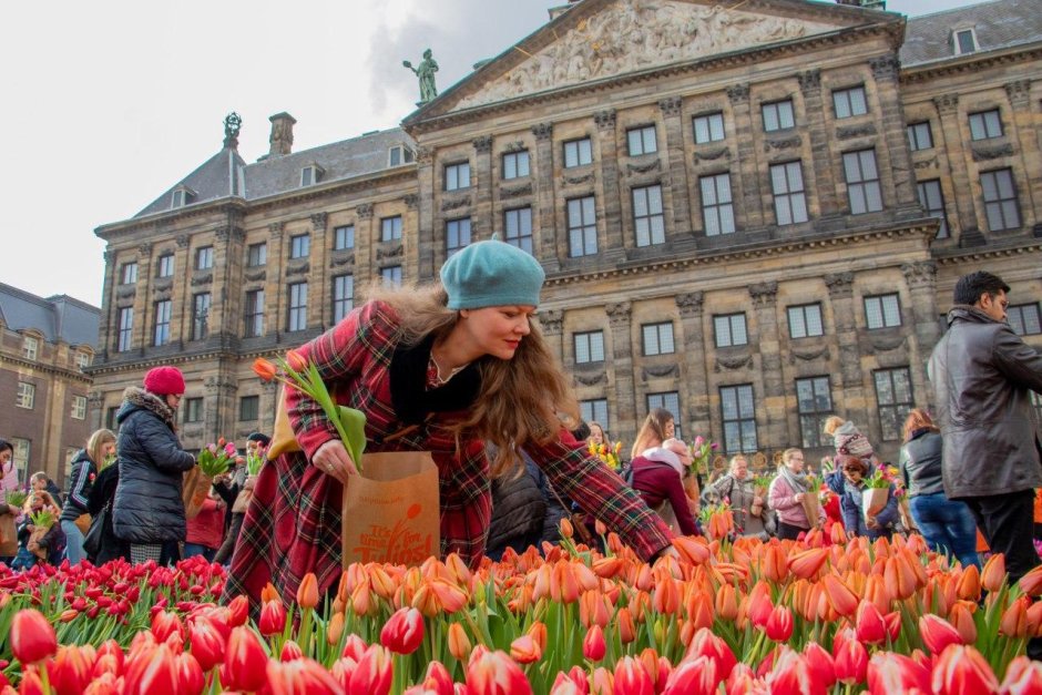 National Tulip Day,