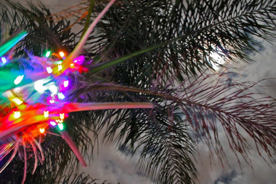 Новогоднее дерево Пальма