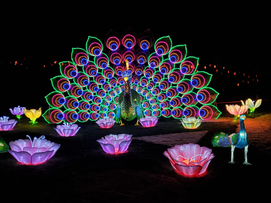 Giant Lantern Festival