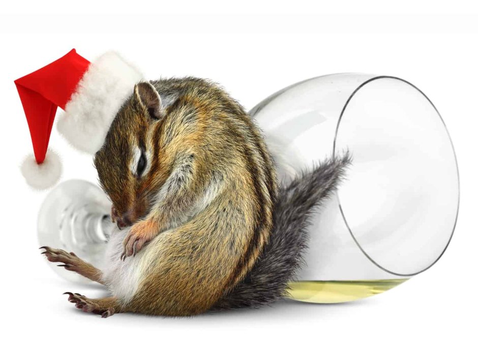 Пьяный новогодний мышь